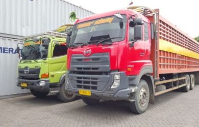 Ekspedisi Murah Di Jakarta Tercepat Dan Terpercaya