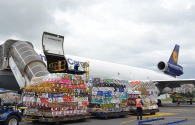 Los exportadores de rosas enviarán vía Lufthansa…